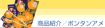 ���i�Љ�/�{���^���A��