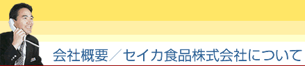��ЊT�v�^�Z�C�J�H�i������Ђɂ���