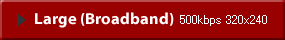 Large(Broadband) 500kbps