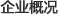 企业概况