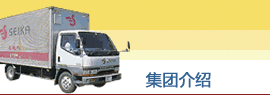 集团介绍