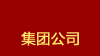 集团公司