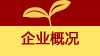 企业概况