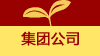集团公司