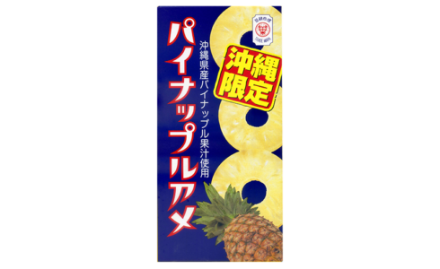 純正ケース付 パイナップル 絵画/タペストリ